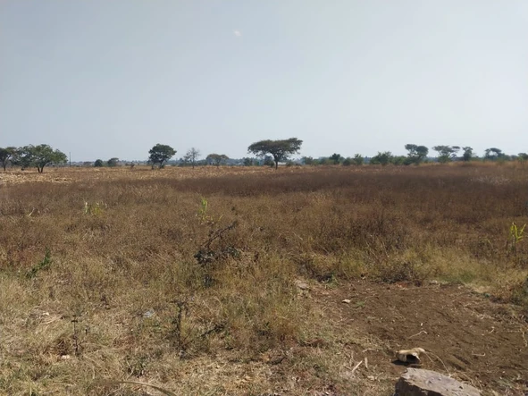 Farm & Agricultural Land