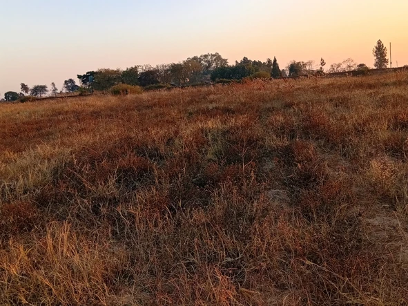 Commercial & Industrial Land