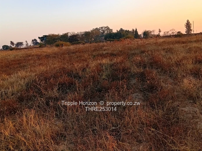Sunset-lit Subdivision-ready 6.4ha Commercial in Damofalls