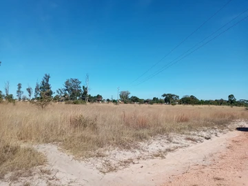 Farm & Agricultural Land