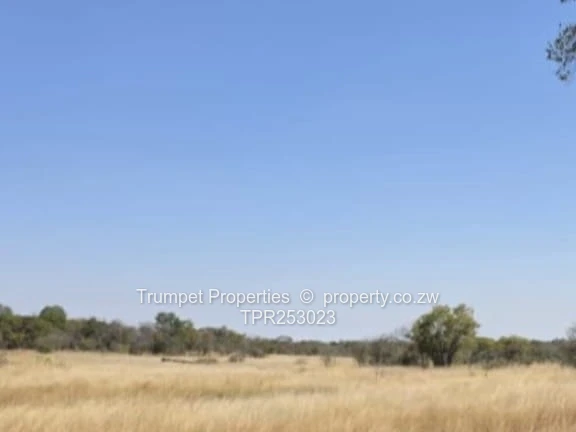 Centenary plot for sale. dam