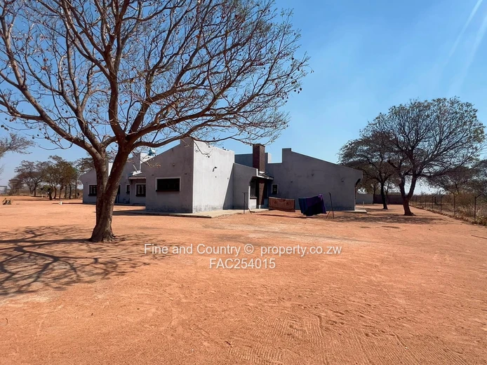 Prime Plot on the Main Road