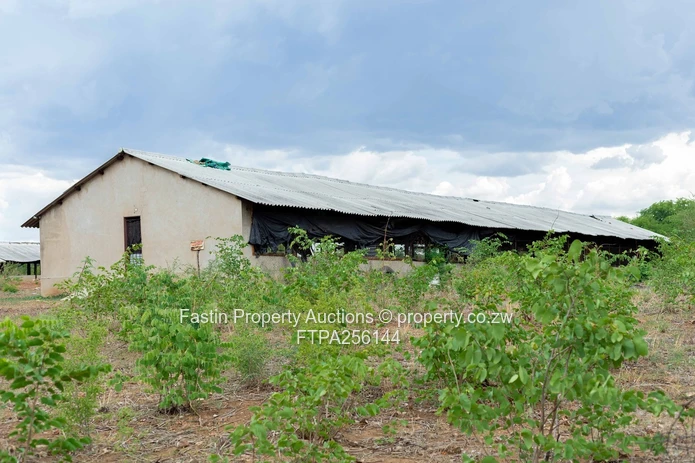 Land For Online Auction - Starting 5 October 2026