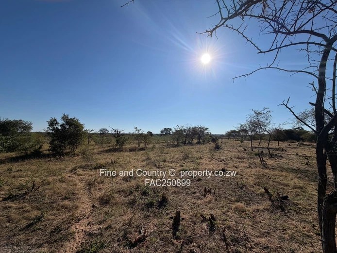 Agro-Residential Plots 10Ha-30Ha (Sole Mandate)