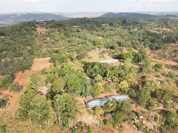 Farm & Agricultural Land