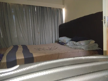 Flat & Apartment