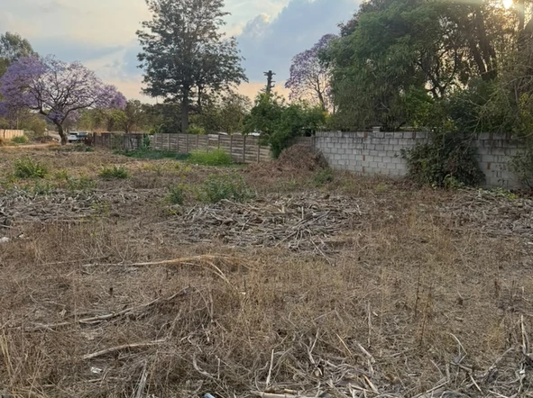 Land