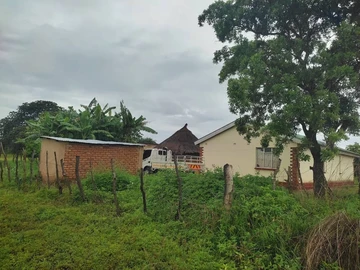 Farm & Agricultural Land