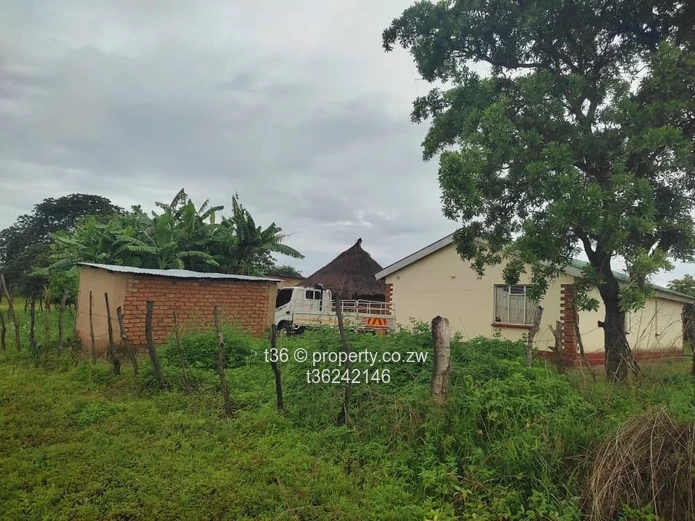 Beautiful musha for retirement and projects (Sole Mandate)