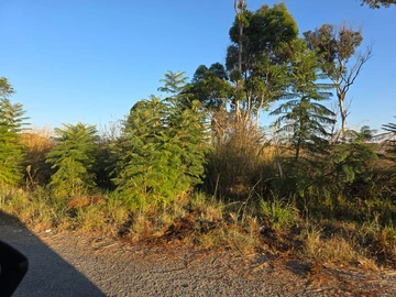 Commercial & Industrial Land