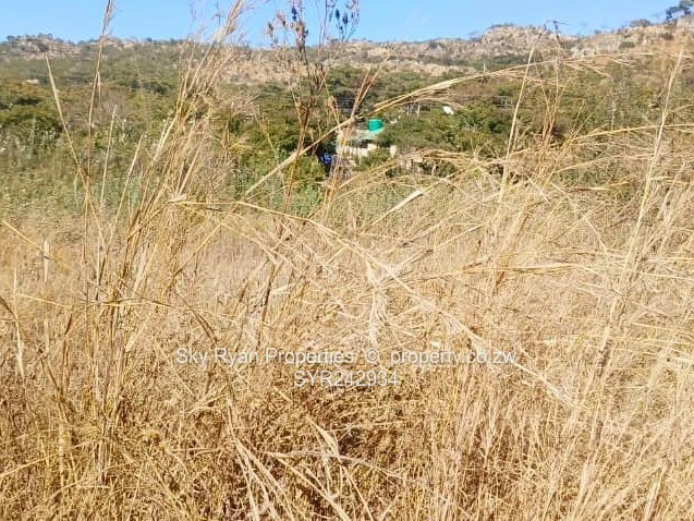 Crowhill Cleverhills Stand For Sale