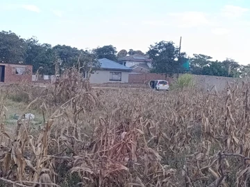 Land