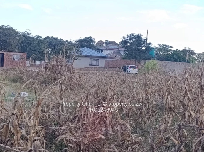 2000 m² Fenced Plot with Road Access in Whitecliff