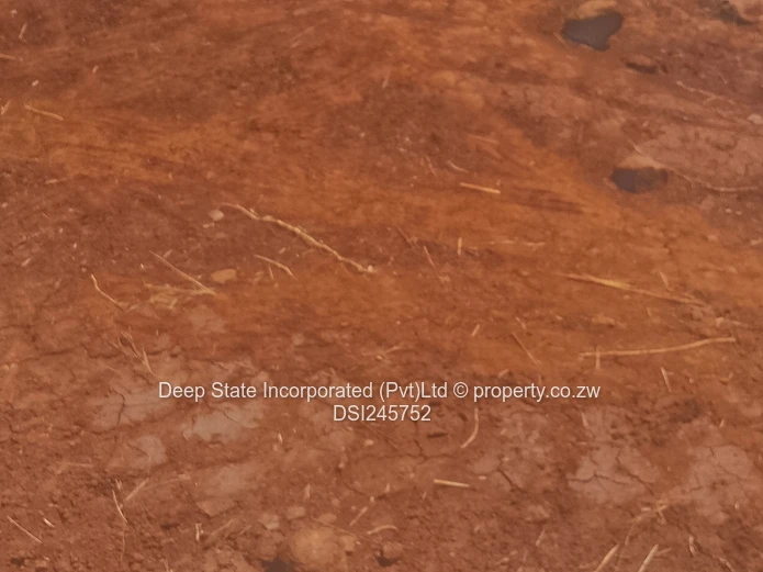 Bluff hill stand for sale  (Sole Mandate)