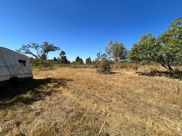Farm & Agricultural Land