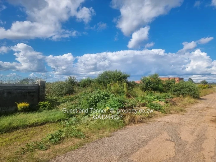 4000m² Willsgrove Stand — Spacious, Green & Ready