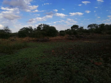 Farm & Agricultural Land