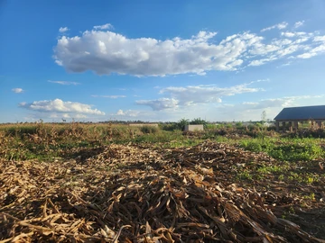 Commercial & Industrial Land