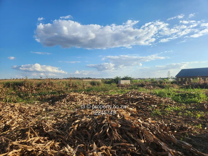 Damofalls Industrial Stand  (Sole Mandate)