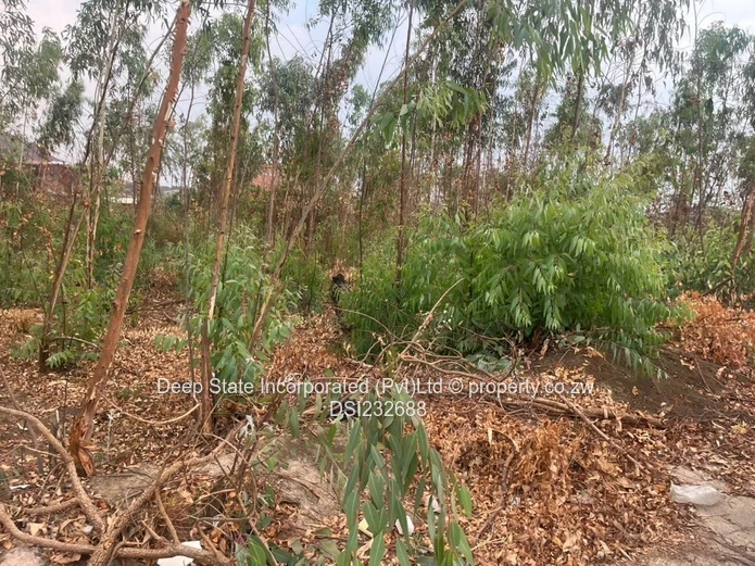 Cold comfort stand for sale (Gated community) 