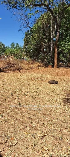 Subdivided Stand in Greystone Park!