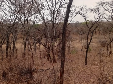 Farm & Agricultural Land