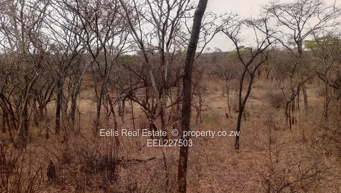Gweru Plots for sale 