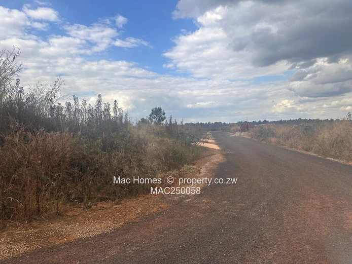 Stand for sale in Nyeredzi Ridge