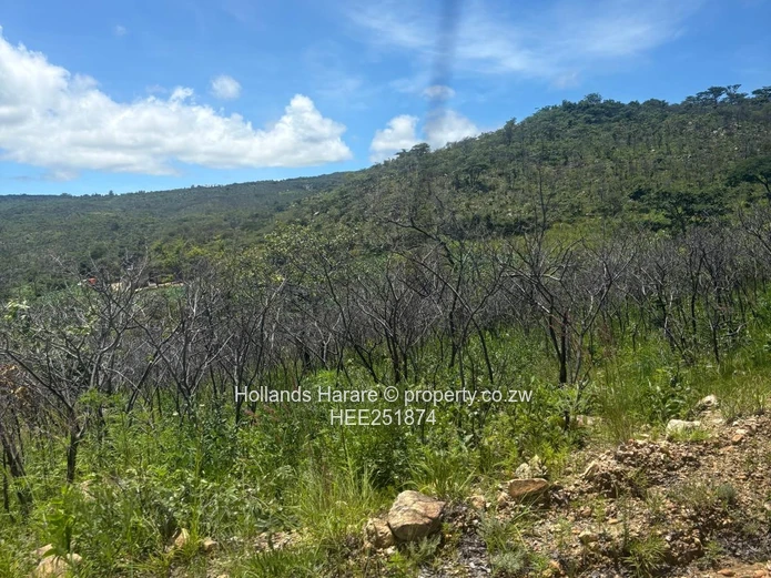 Rodel Township - Nyanga