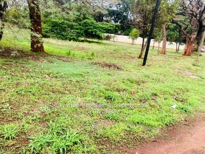 Strathaven Stand For Sale