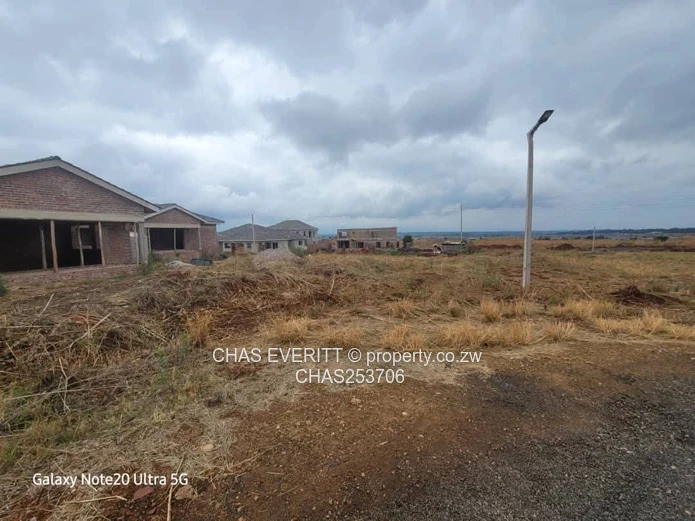 Nyeredzi Ridge Pomona stand for sale 
