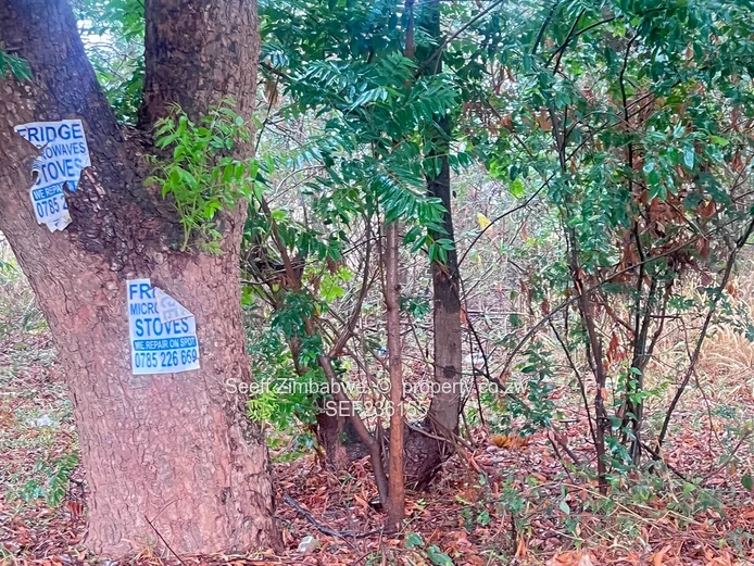 Land For Sale In Mandara