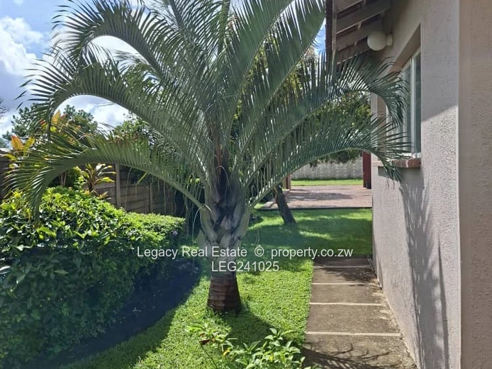 Refined Family Living in the Heart of Goodhope