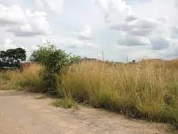 Residentialstand For Sale