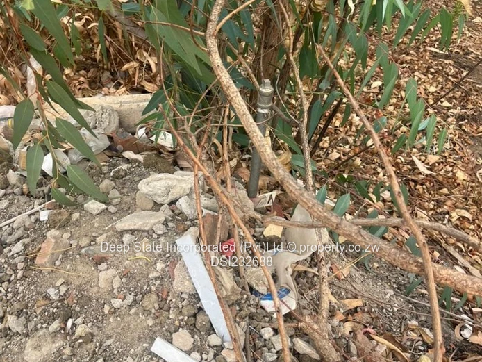 Cold comfort stand for sale (Gated community) 