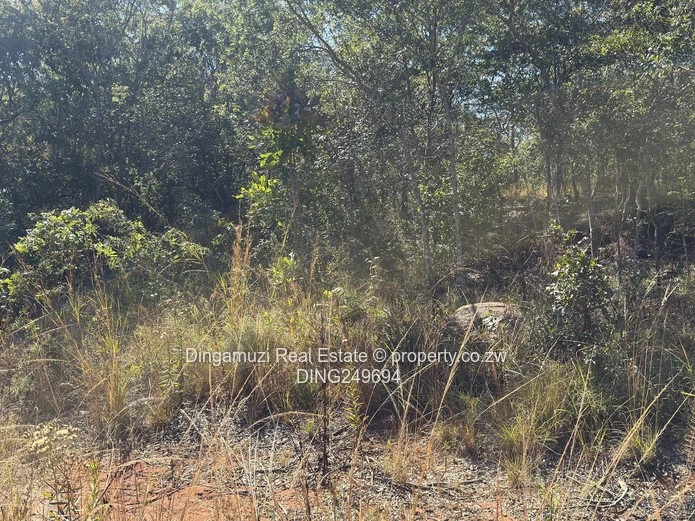 Goromonzi Agricultural 4-Hectare Land