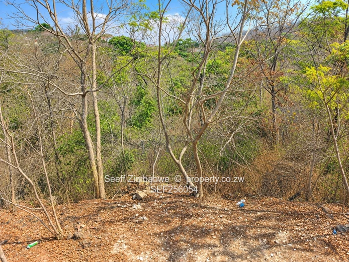 Prime Residential Stand For Sale On Sugarloaf Hill (Sole Mandate)