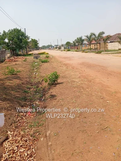 An opportunity not to miss