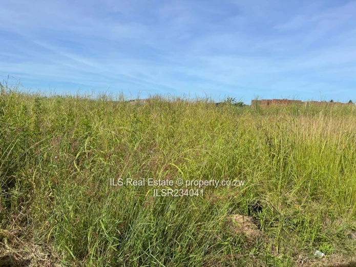 Stand for Sale in Knowe, Norton