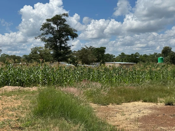 Farm & Agricultural Land