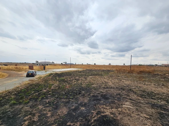 Stands & Residential Land
