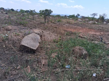 Stands & Residential Land
