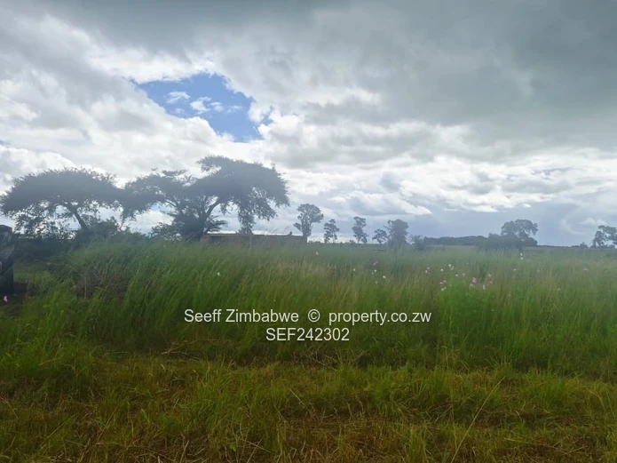 594m² Serviced Stand in Fairview — Near New Builds & Mu