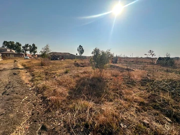 Stands & Residential Land