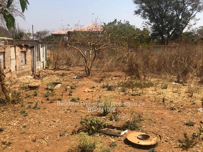 Charming Buena Vista Cottage For Sale