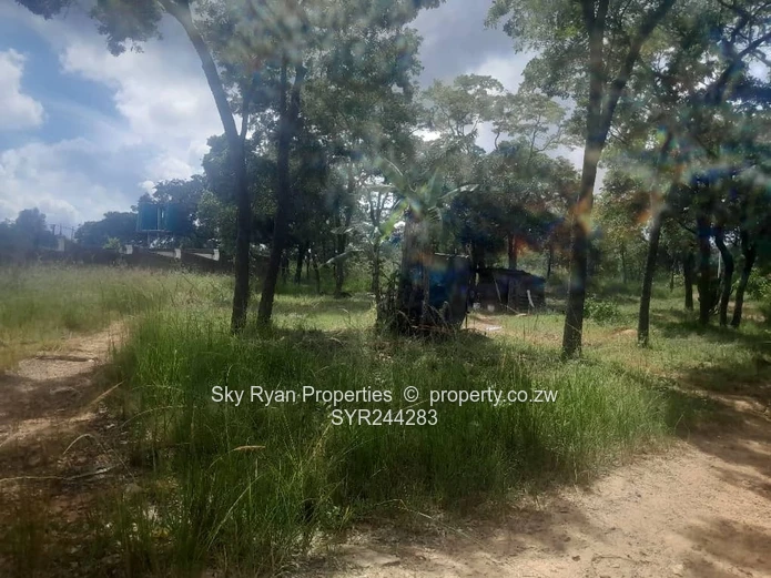 Carrick Creagh Stand  For Sale