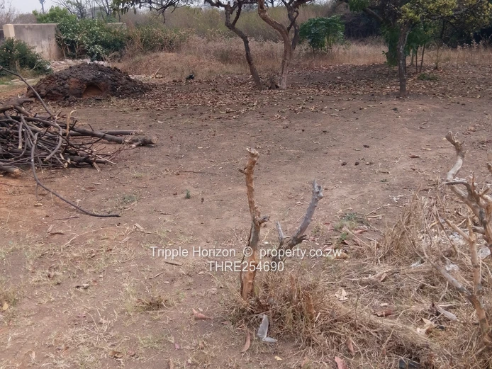 2060 sqm Prospect Stand — Main Road Frontage, Outbuilding