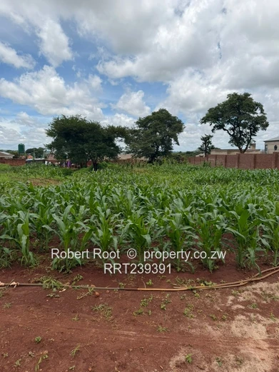 Build your dream home!