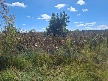 Farm & Agricultural Land