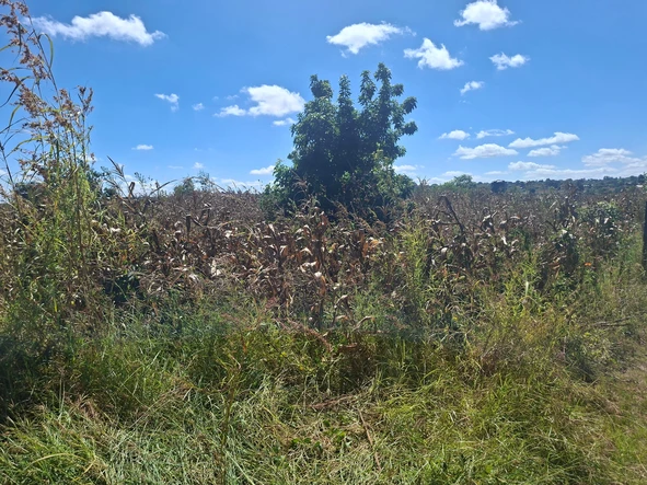 Farm & Agricultural Land